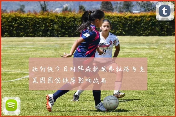 独行侠今日对阵森林狼弗拉格与克莱因因伤缺席影响战局
